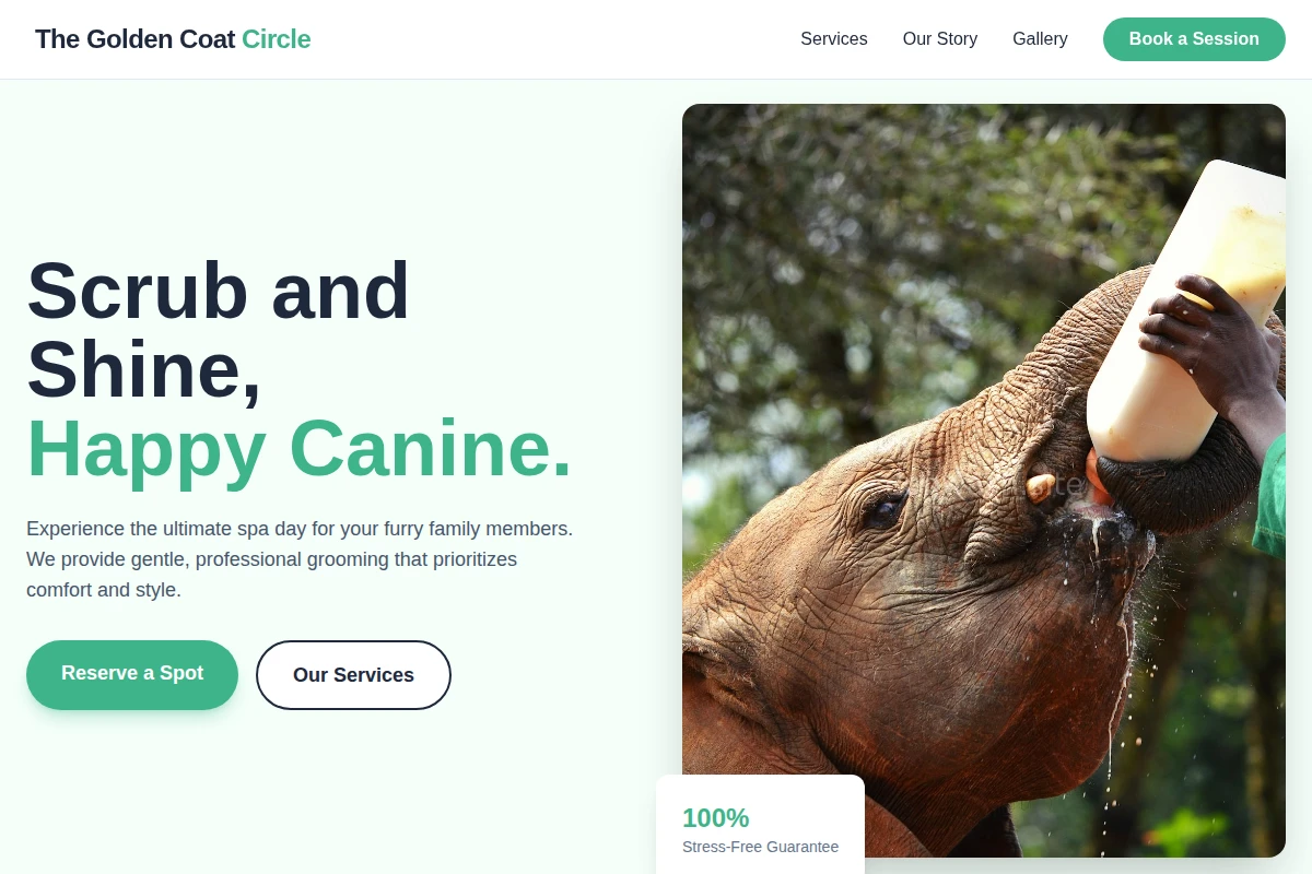 Local Animal Care