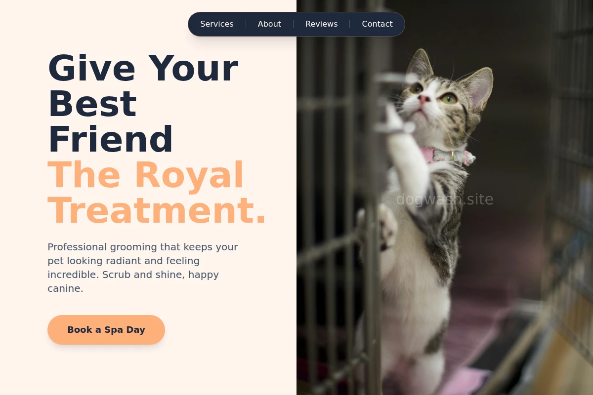 Shine Animal Care