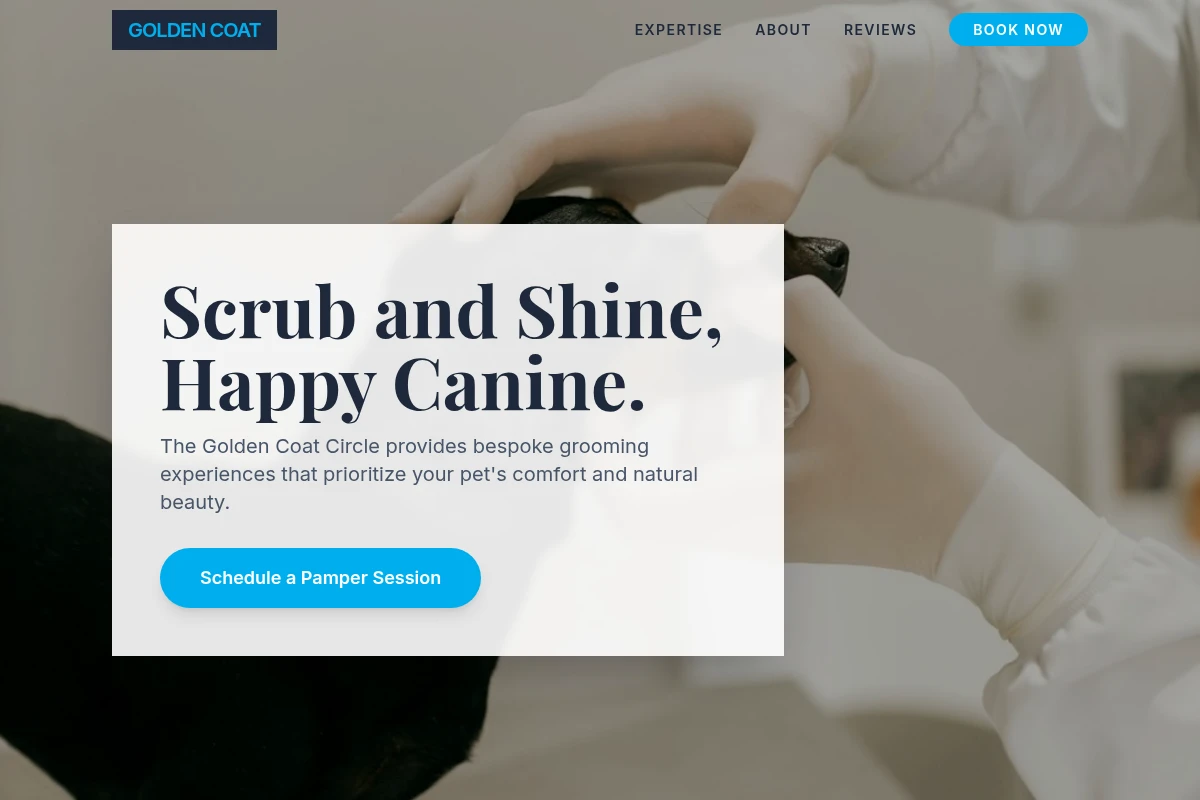 Collar Animal Care