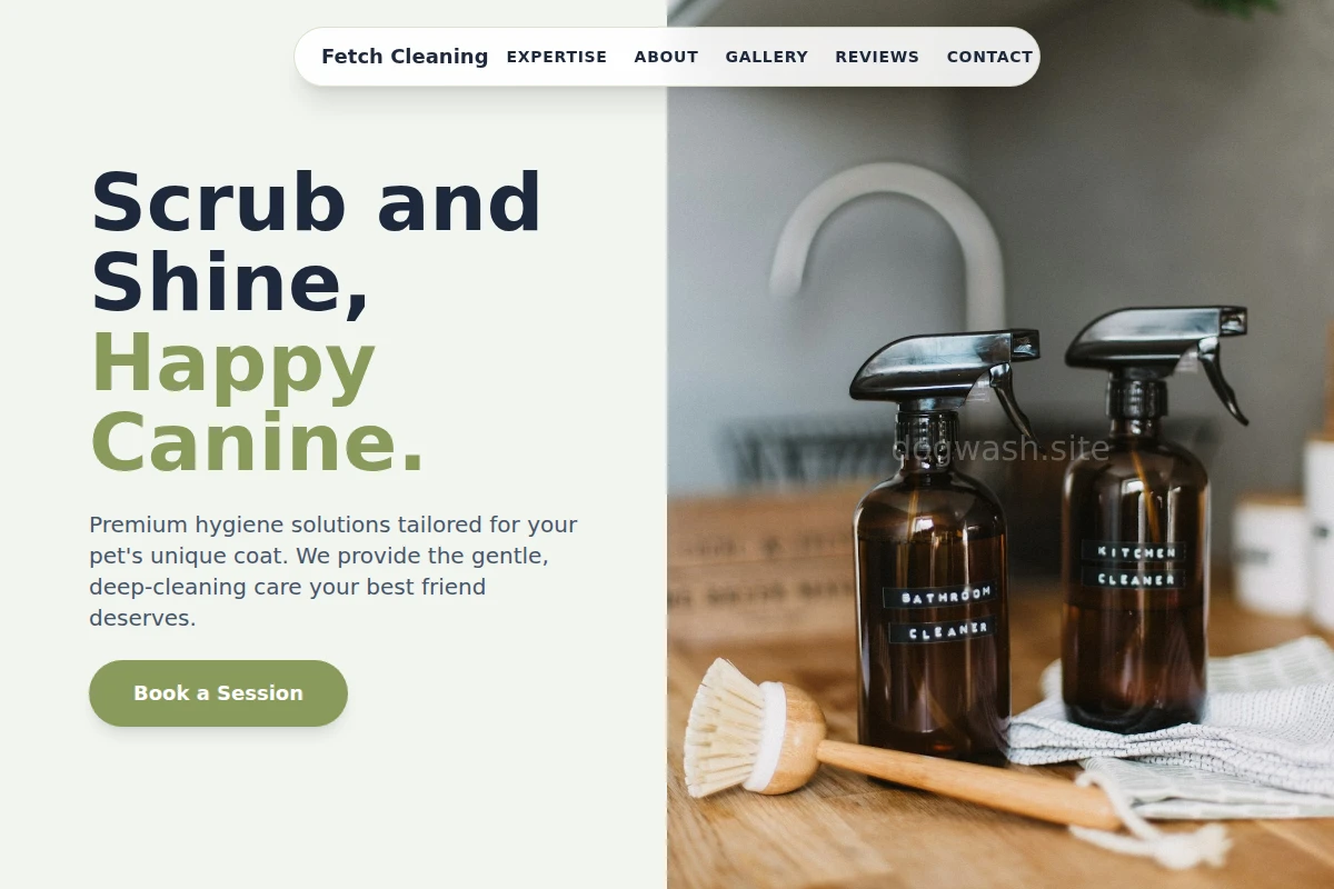 Fetch Cleaning