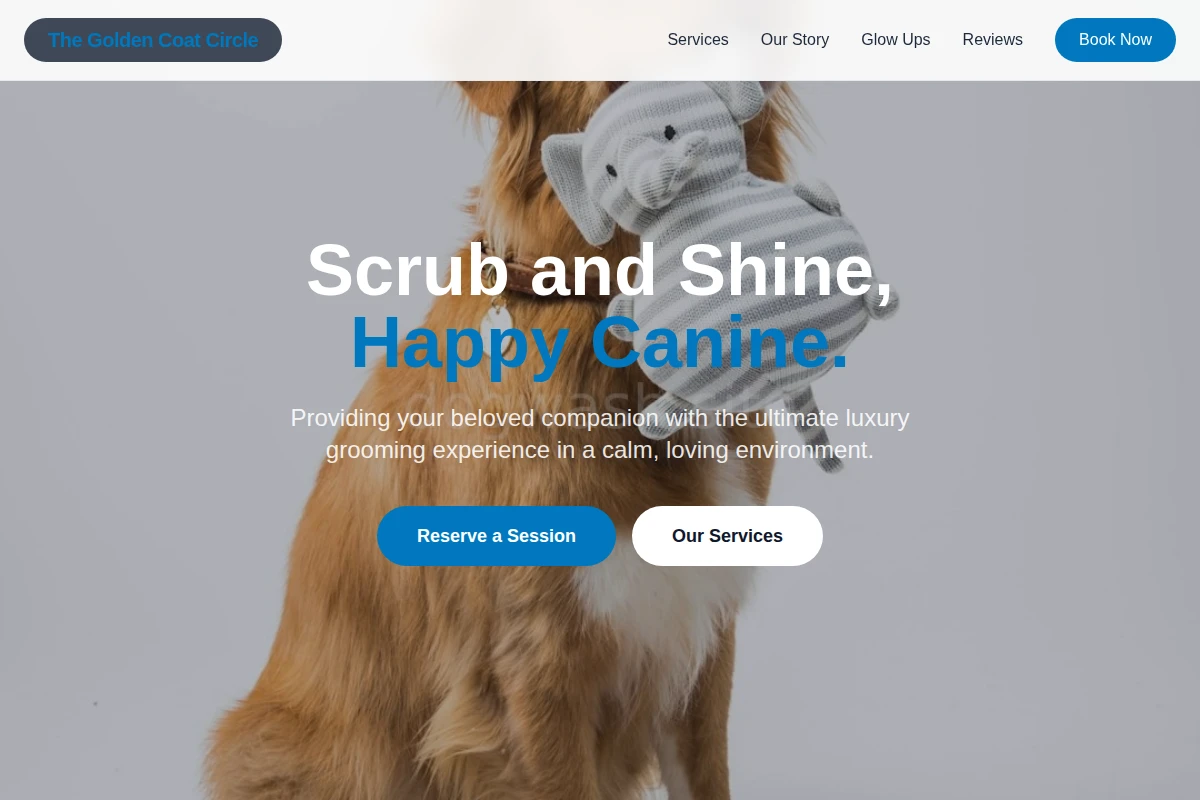 Dry Dog Training