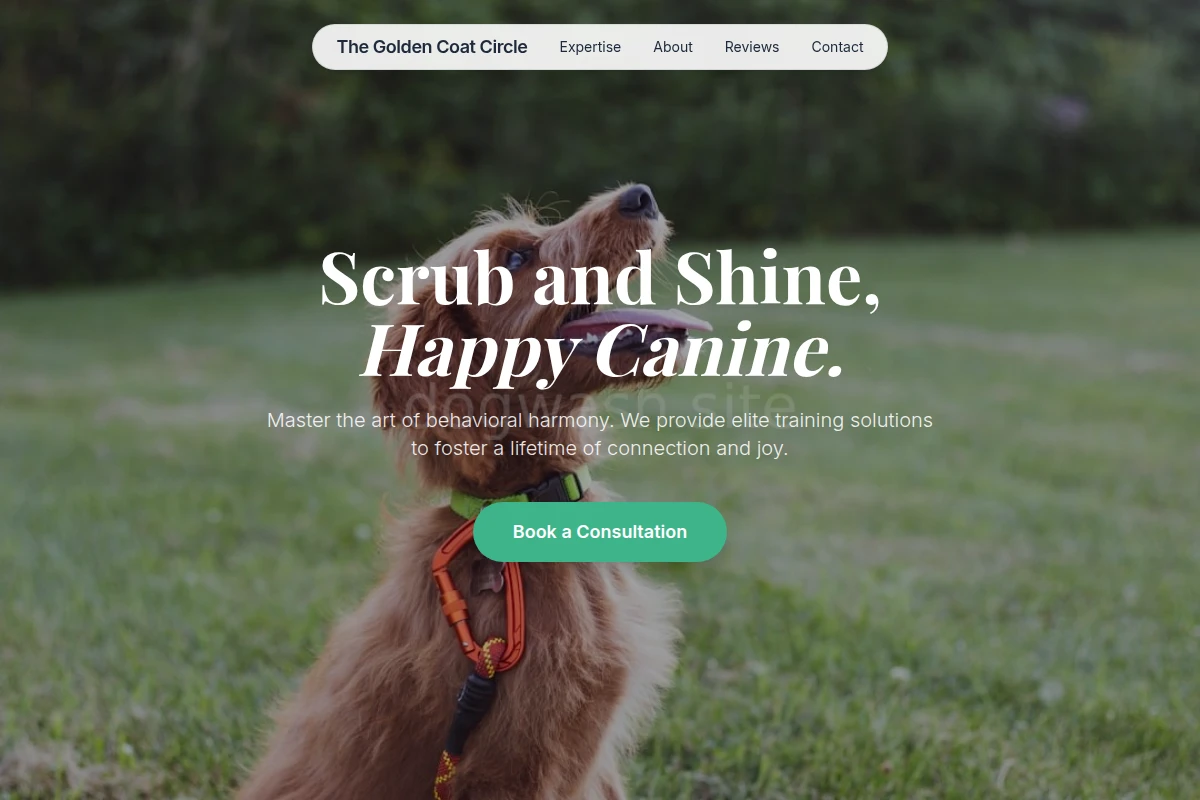 Shine Dog Training