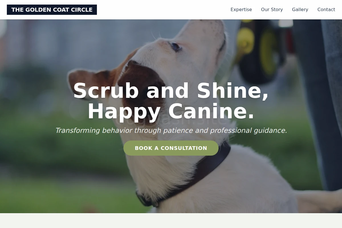 Rinse Dog Training