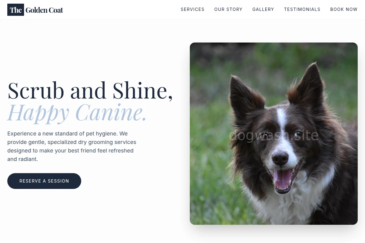 Dry Pet Services